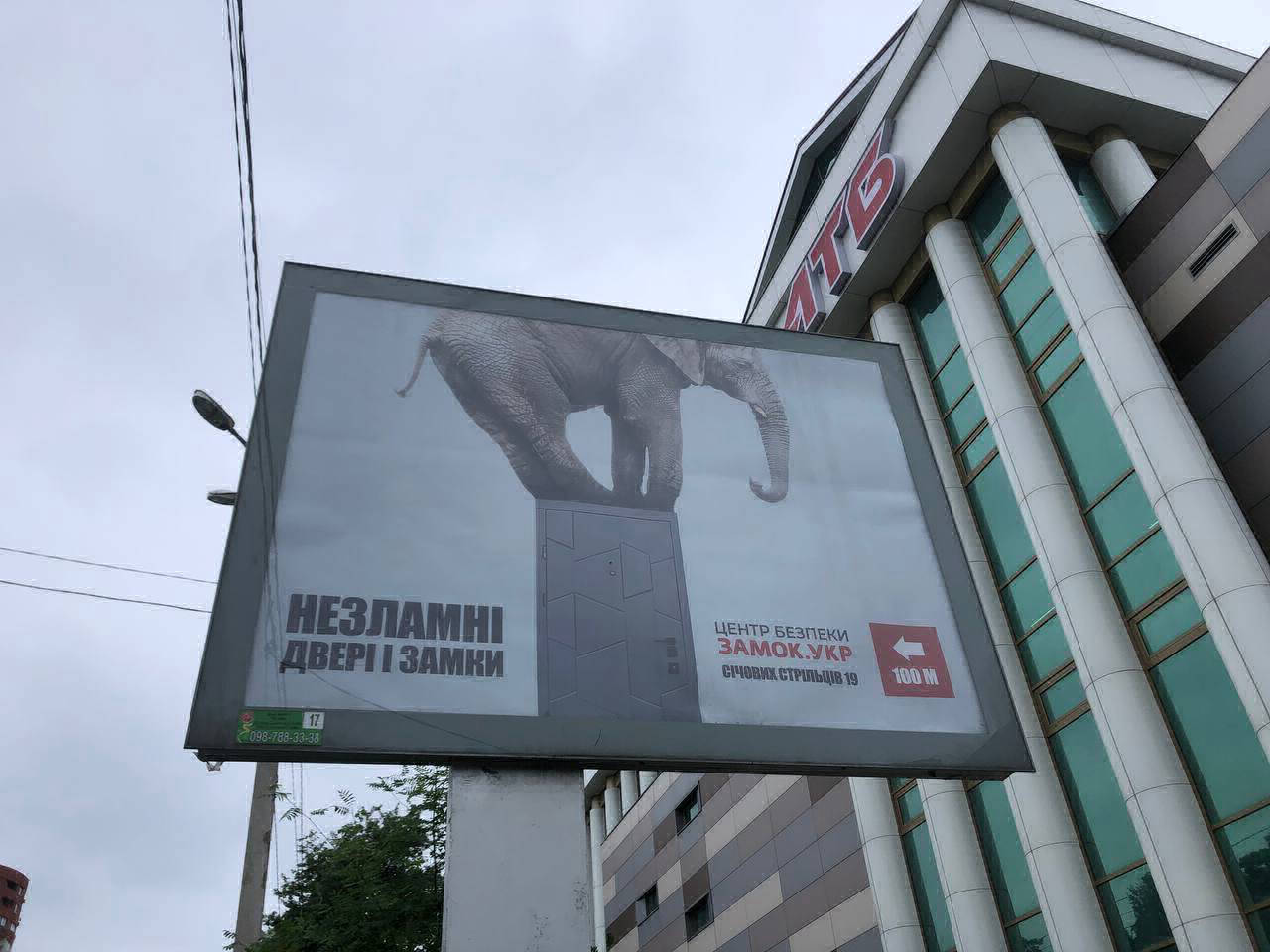 оренда бєклайт в Дніпрі